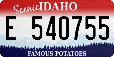 ID license plate E540755