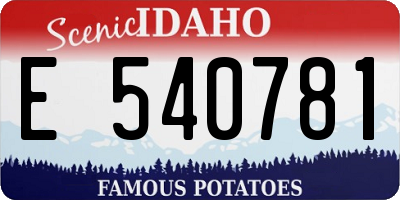 ID license plate E540781