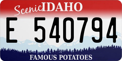 ID license plate E540794