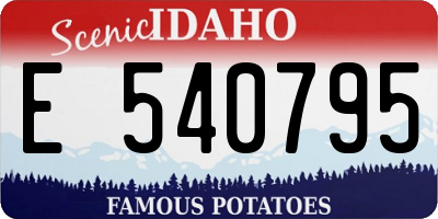 ID license plate E540795