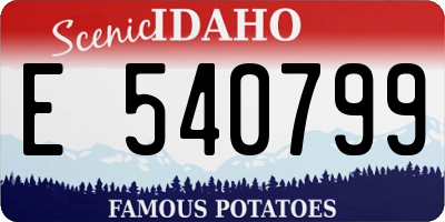ID license plate E540799