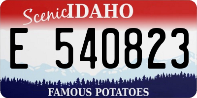 ID license plate E540823