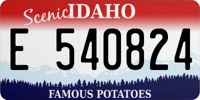 ID license plate E540824
