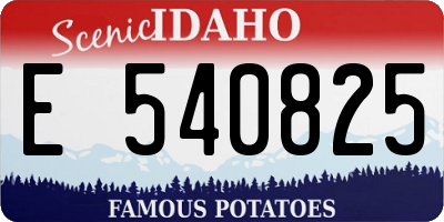 ID license plate E540825