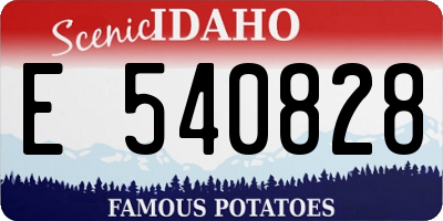 ID license plate E540828
