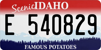 ID license plate E540829