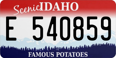 ID license plate E540859