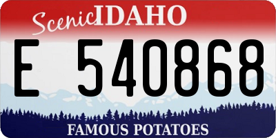 ID license plate E540868