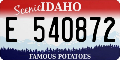 ID license plate E540872