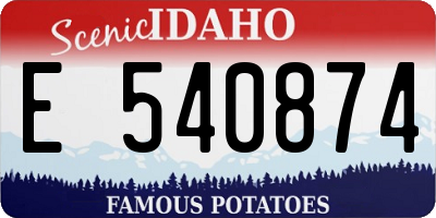 ID license plate E540874