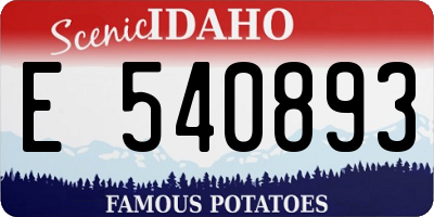 ID license plate E540893
