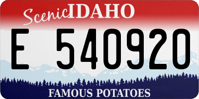 ID license plate E540920
