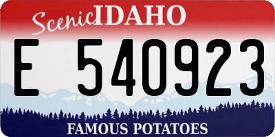 ID license plate E540923