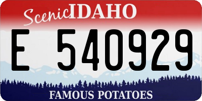 ID license plate E540929