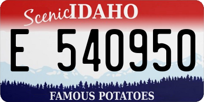 ID license plate E540950