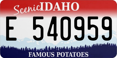 ID license plate E540959