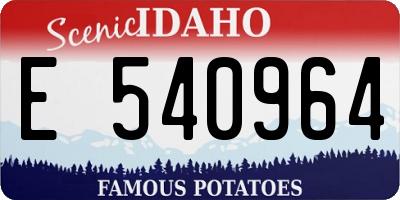 ID license plate E540964