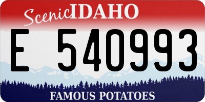ID license plate E540993