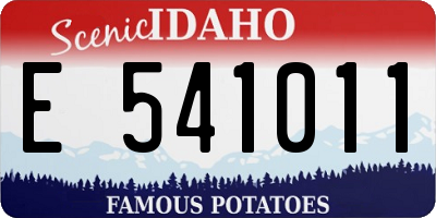 ID license plate E541011