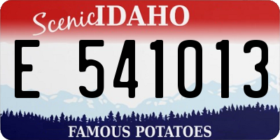 ID license plate E541013