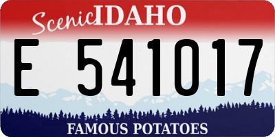 ID license plate E541017