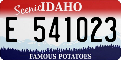 ID license plate E541023