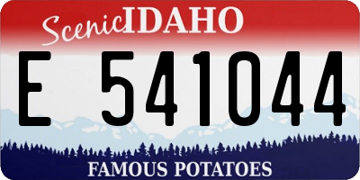 ID license plate E541044