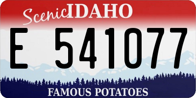 ID license plate E541077