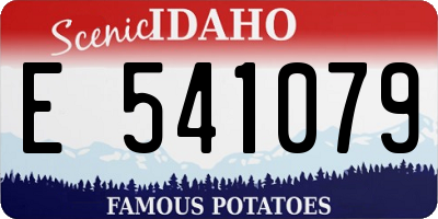 ID license plate E541079
