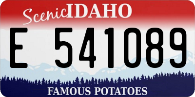 ID license plate E541089