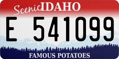 ID license plate E541099