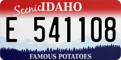 ID license plate E541108