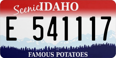 ID license plate E541117