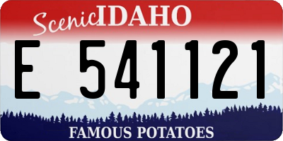ID license plate E541121