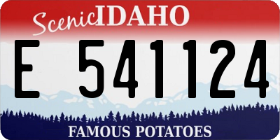 ID license plate E541124
