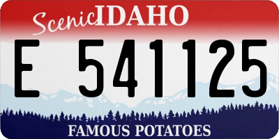 ID license plate E541125