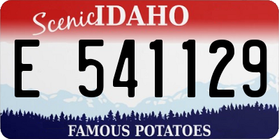 ID license plate E541129