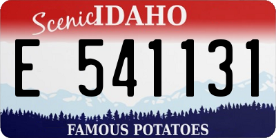 ID license plate E541131
