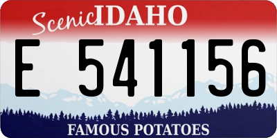 ID license plate E541156