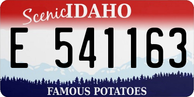 ID license plate E541163