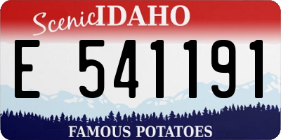 ID license plate E541191