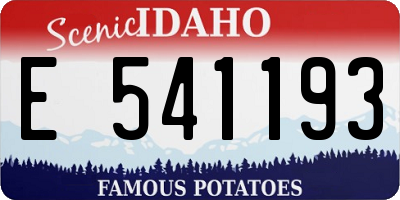 ID license plate E541193