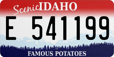 ID license plate E541199
