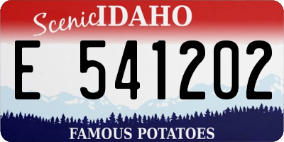 ID license plate E541202