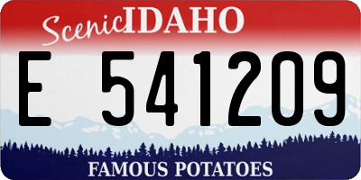 ID license plate E541209