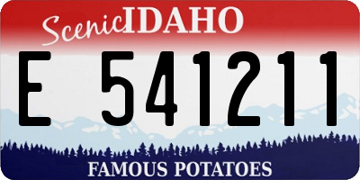 ID license plate E541211
