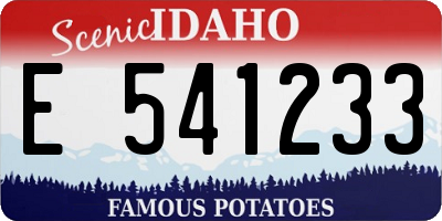 ID license plate E541233