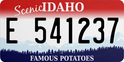 ID license plate E541237