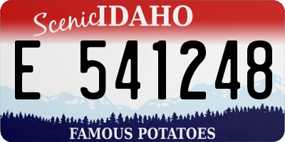 ID license plate E541248