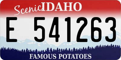 ID license plate E541263